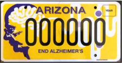 License Plate Prototype